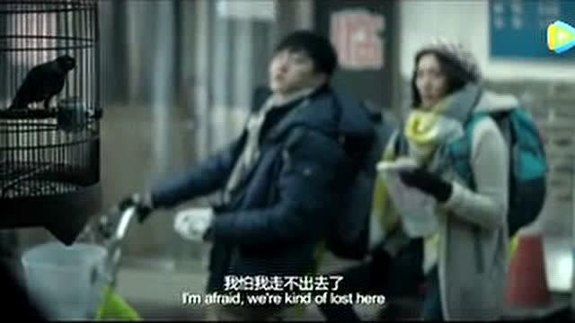 日韩情侣问路视频,跨国恋的美好瞬间