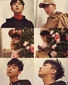 男女日b日韩视频